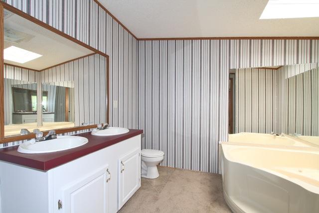 387 Needmore Road Mount Juliet, TN 37122 - Photo 12 of 20 Natural light flows into the master bath through the skylight. Notice the double sink vanity.
