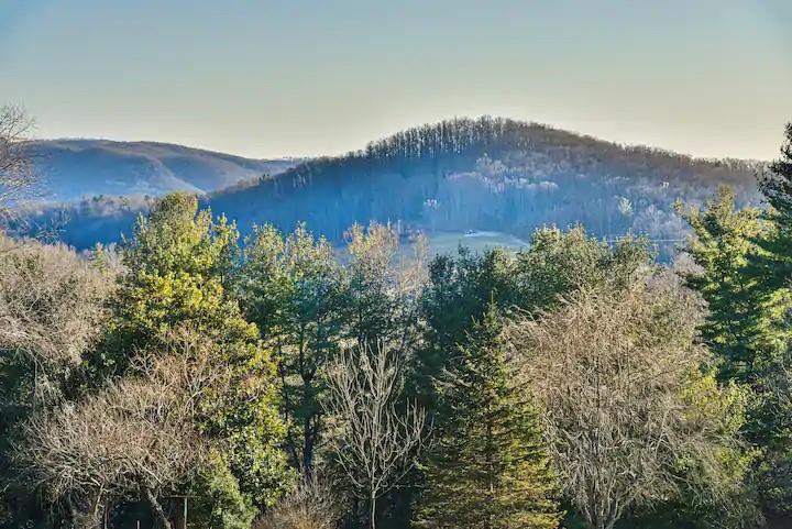 664 Old Fort Road Fairview, NC 28730 - Photo 4 of 20 an aerial view of a house