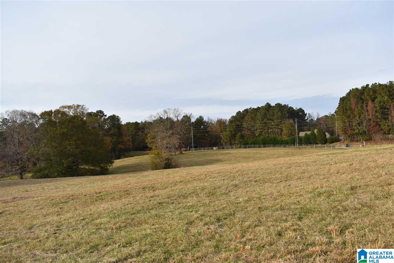 Poplar Loop, Unit 2 Calera, AL 35040 - Photo 10 of 18