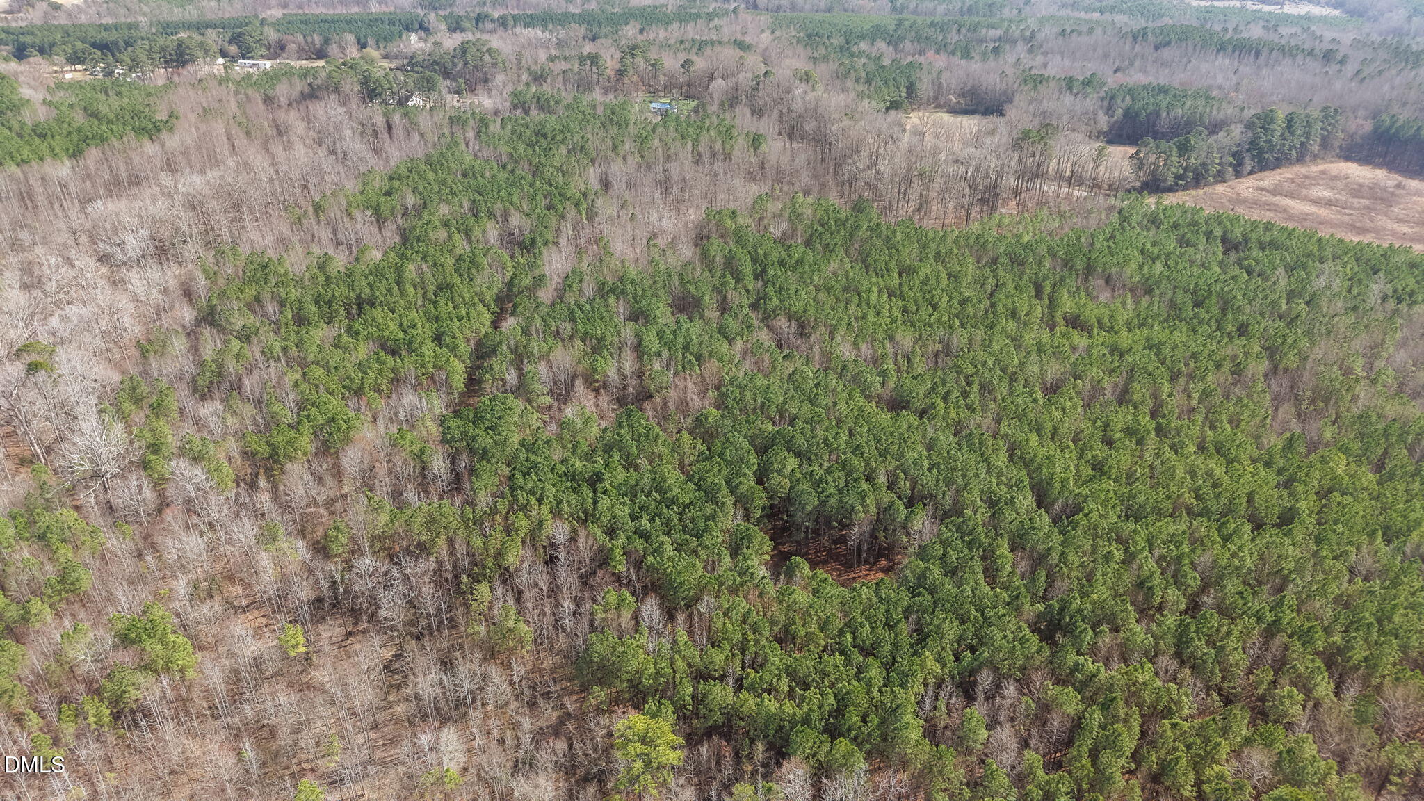 Lot 5 Fishing Creek Road Enfield, NC 27823 - Photo 3 of 5 a view of a lush green forest