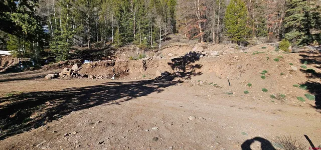 a view of a dry yard with trees