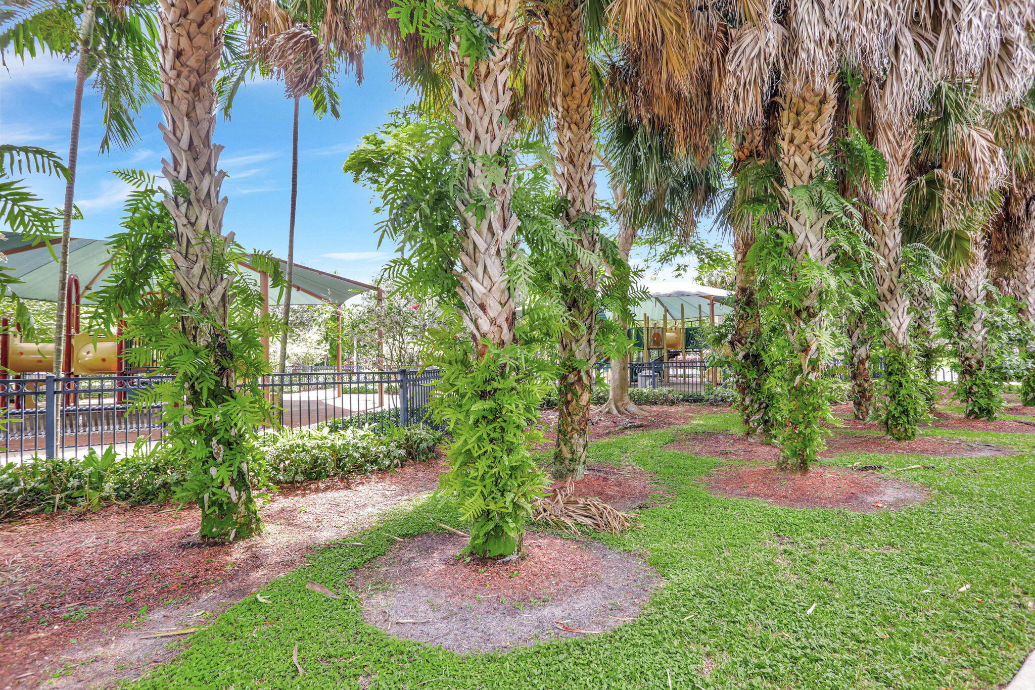 3100 North Palm Aire Drive, Unit 106 Pompano Beach, FL 33069 - Photo 32 of 42 a view of a garden with large trees