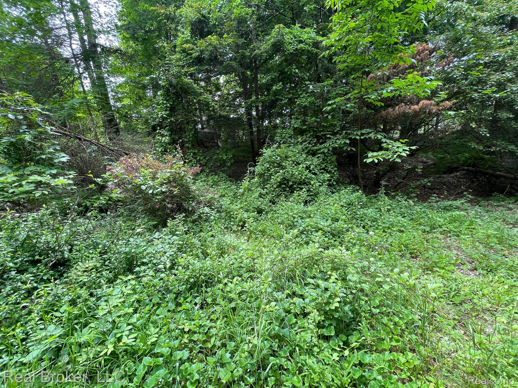 5465 Hadley Road Goodrich, MI 48438 - Photo 65 of 81 Gallery Image 65