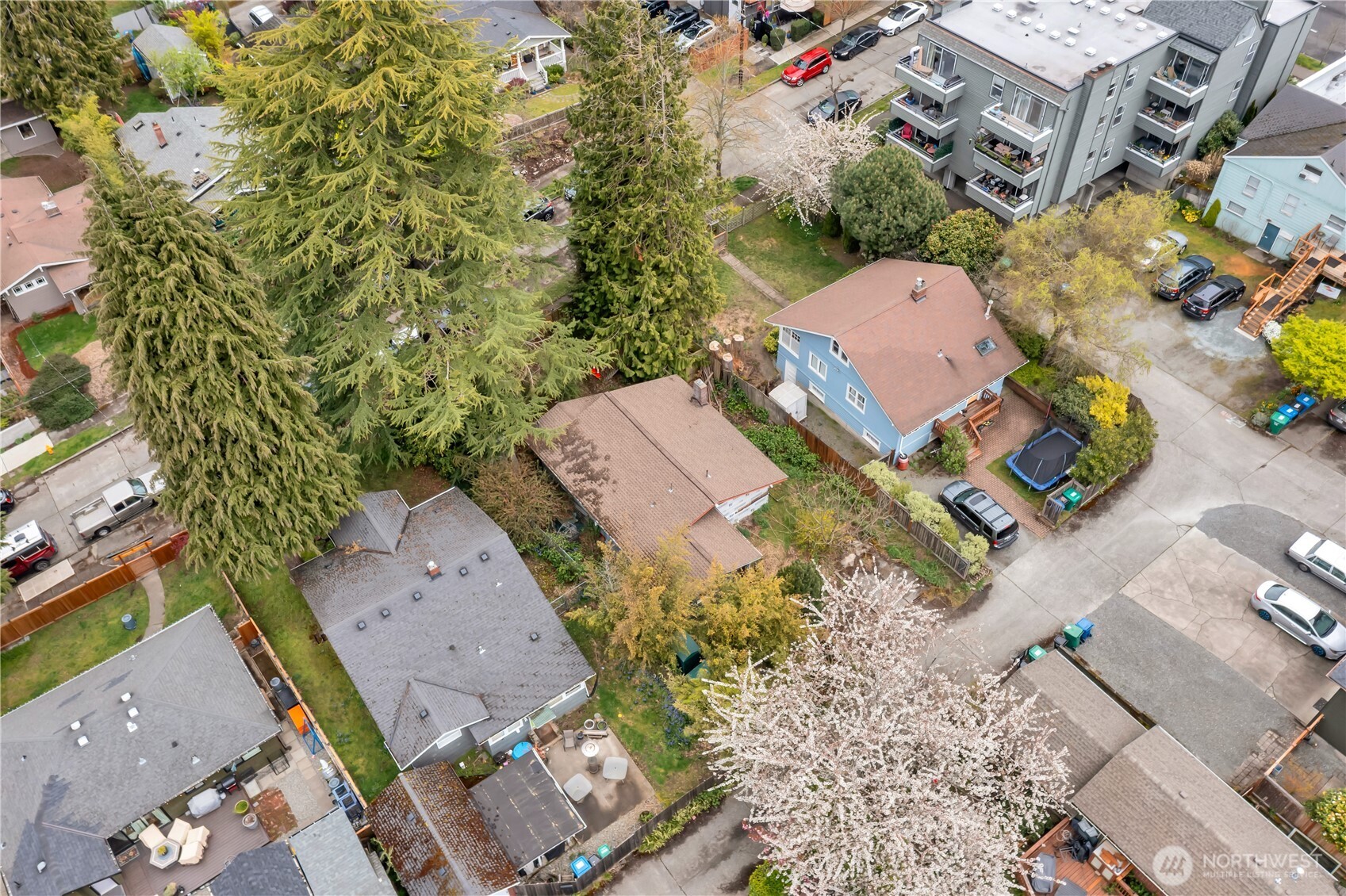 4319 Southwest Mills Street Seattle, WA 98136 - Photo 29 of 30