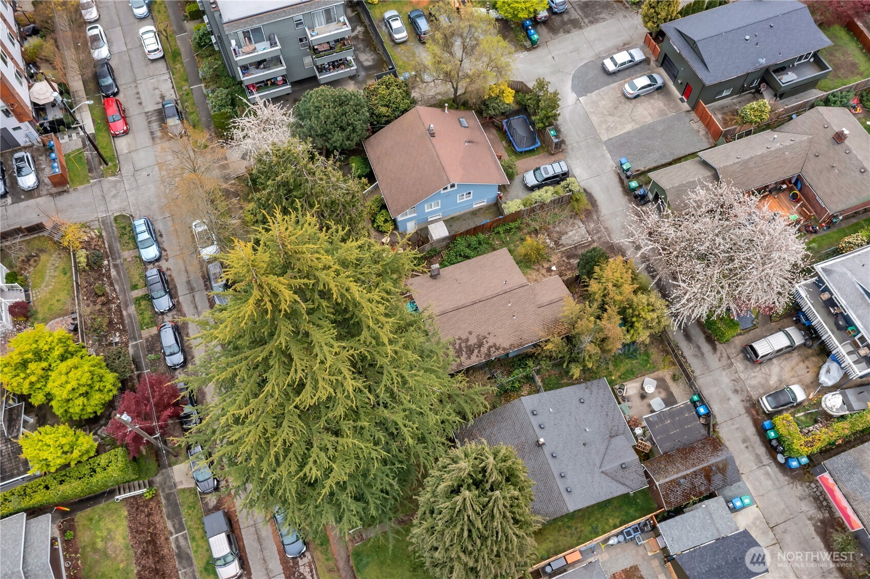 4319 Southwest Mills Street Seattle, WA 98136 - Photo 7 of 30