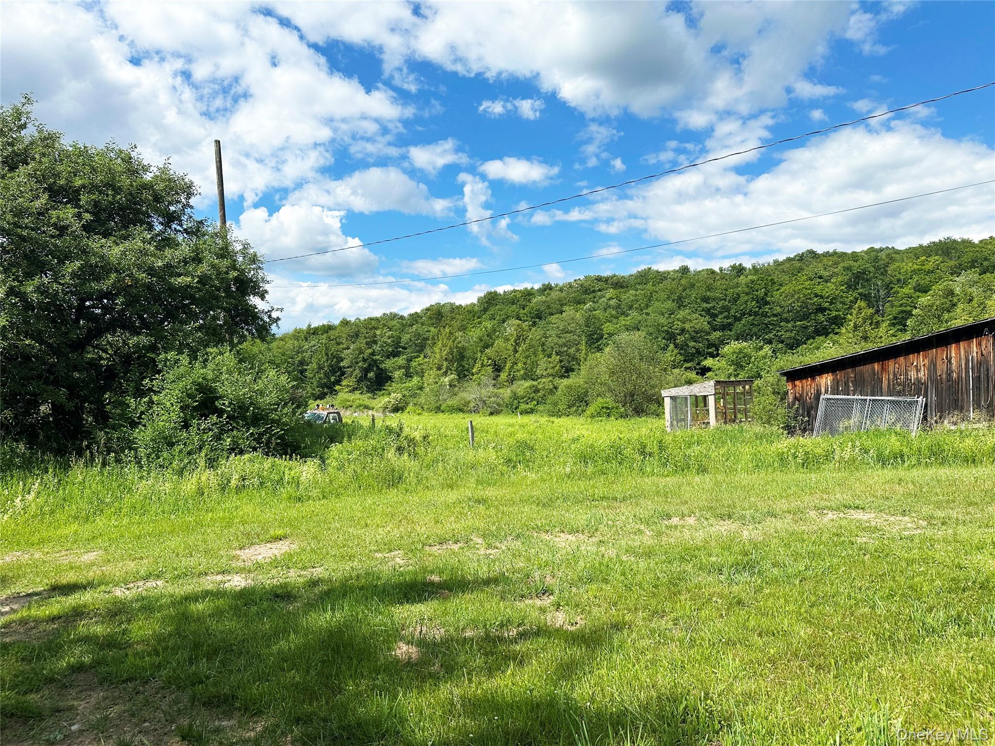 818 Methol Road Roscoe, NY 12776 - Photo 17 of 39 Open grassy area bordered by mature trees and rolling hills, offering privacy and a peaceful country setting.