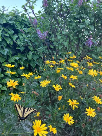 $429,900 | 1270 Maple Avenue, Yuba City, CA 95991