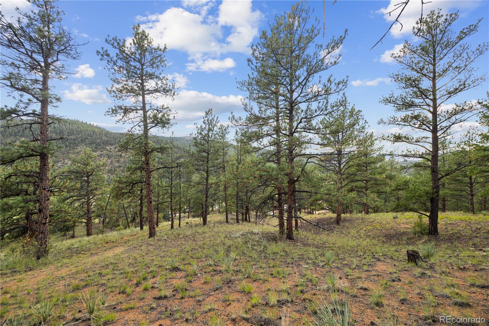 Brynmawr Rd Pine Pine, CO 80470 - Photo 27 of 45