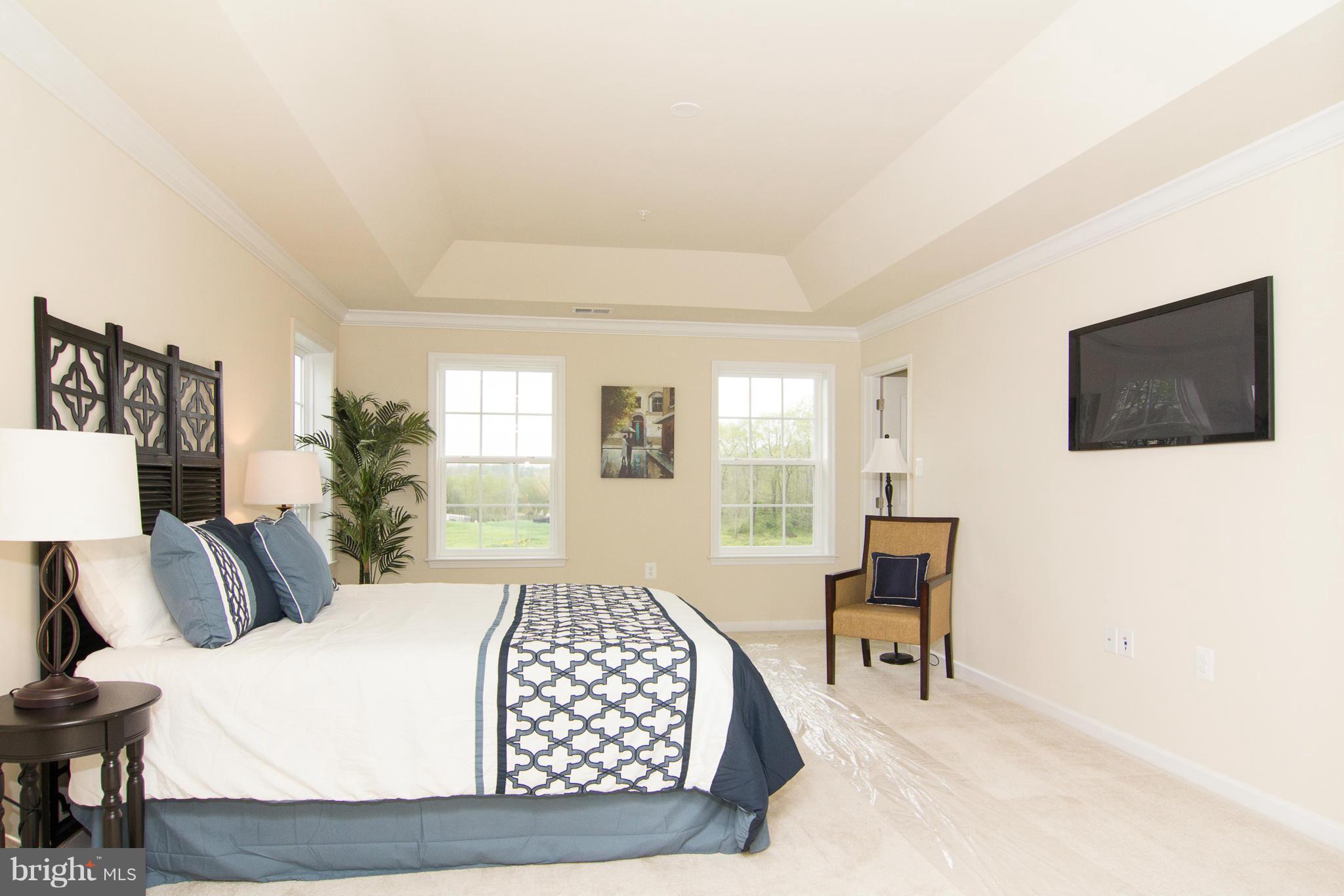 12642 Liberty Road Union Bridge, MD 21791 - Photo 15 of 29 Master Bedroom w/Tray Ceiling