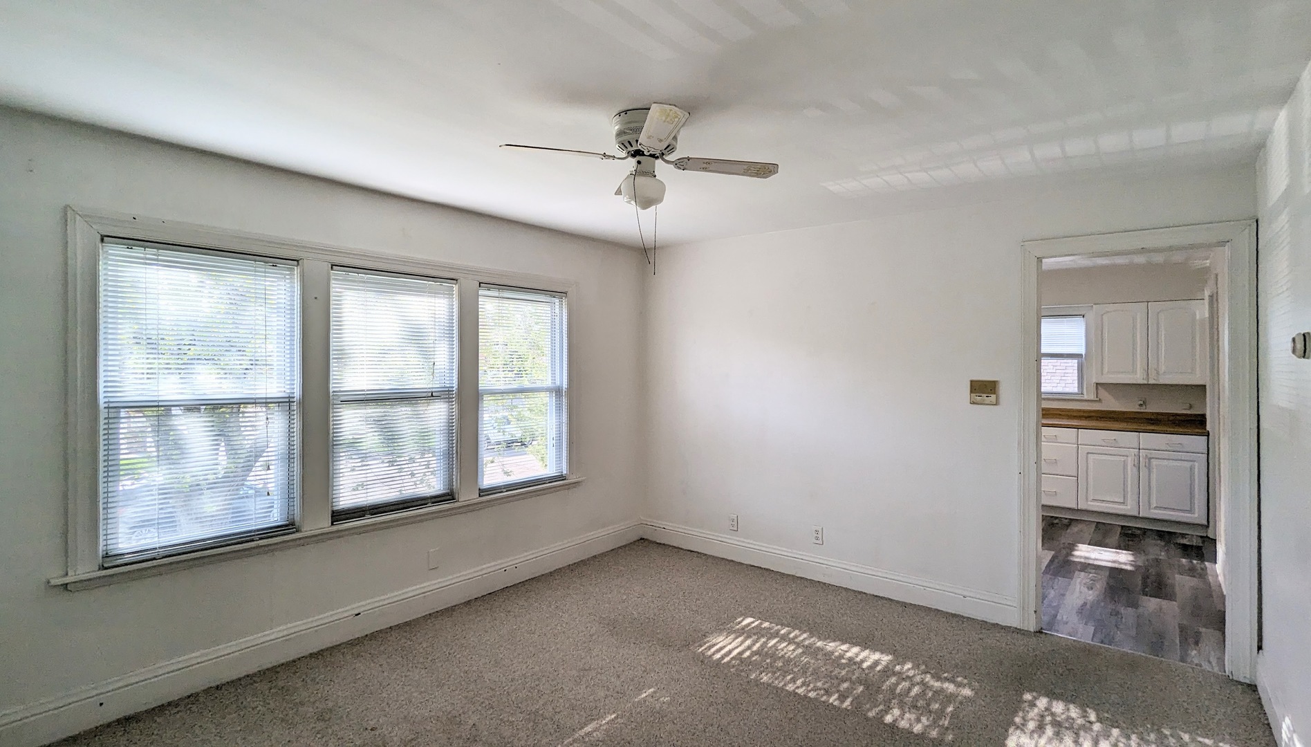 607 Walnut Street, Unit 4 Lemont, IL 60439 - Photo 5 of 6