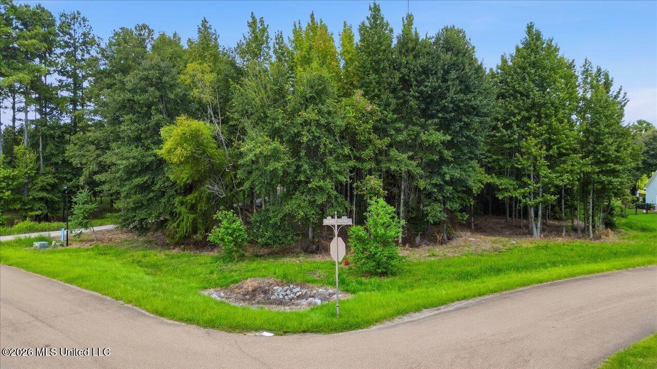 8-Green Trace Cove _ Hometoursms.com
