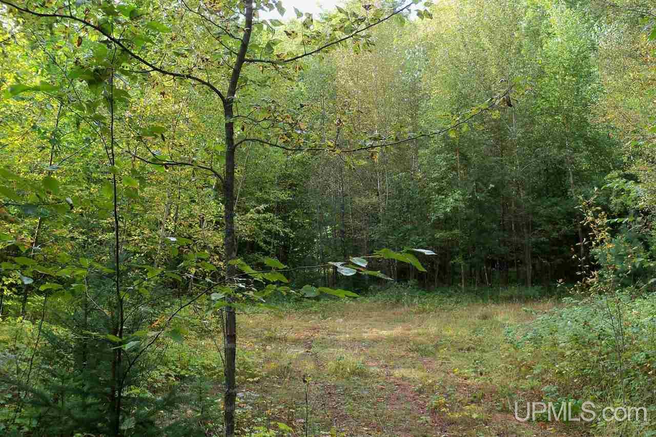26 Co Road Negaunee, MI 49866 - Photo 18 of 31
