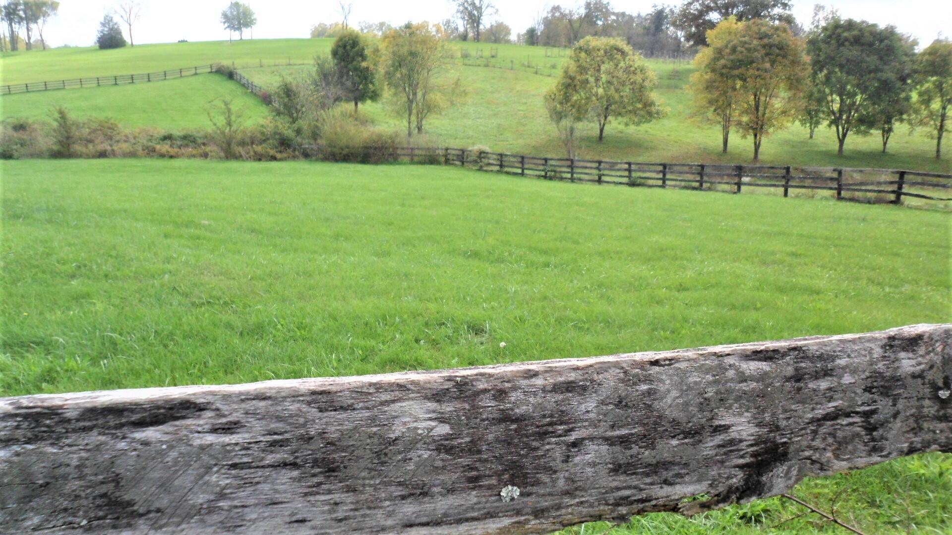 479 Locust Fork Road Stamping Ground, KY 40379 - Photo 7 of 50 back field 1