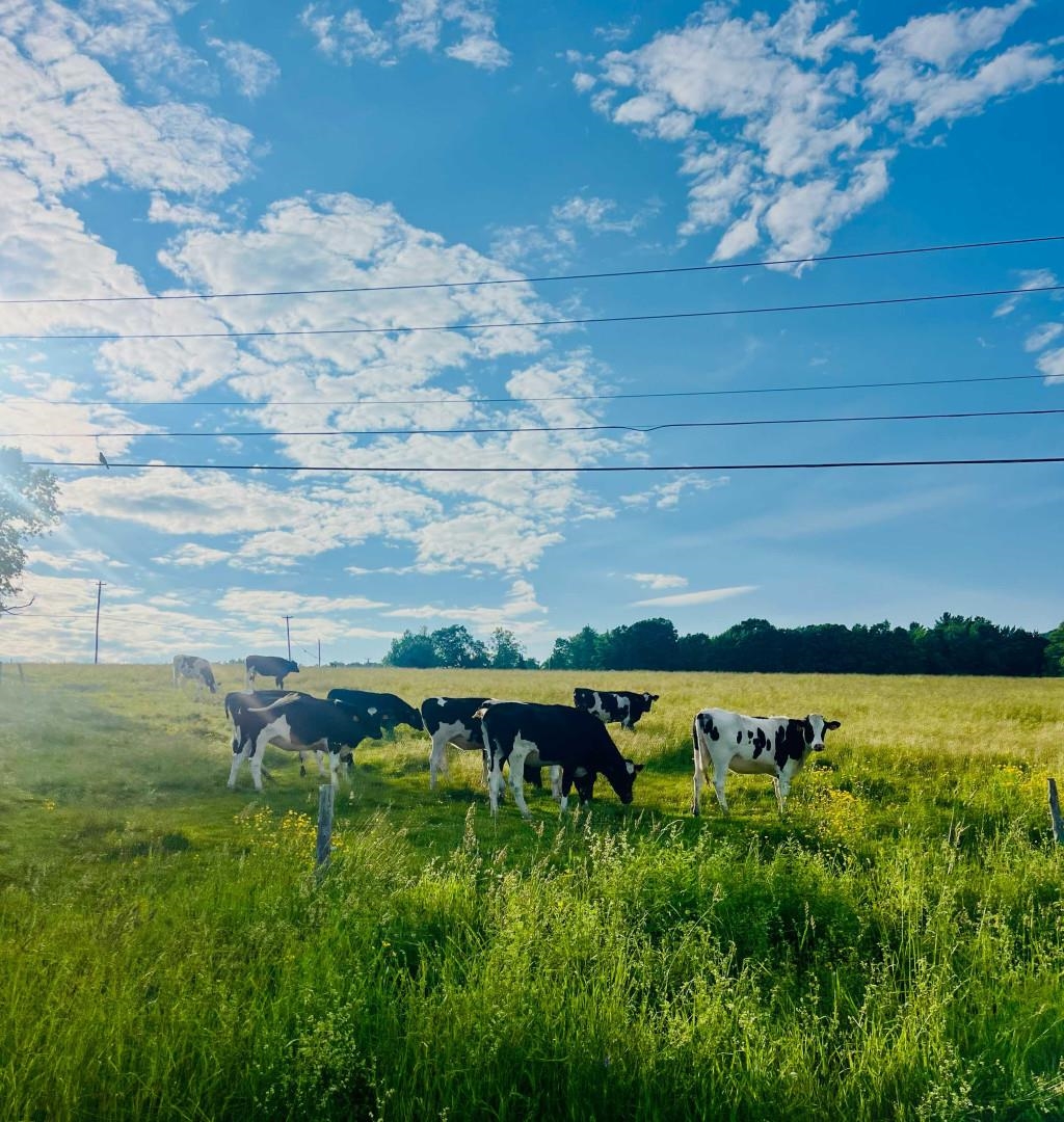 858 Alpine View Road Stowe, VT 05672 - Photo 36 of 38