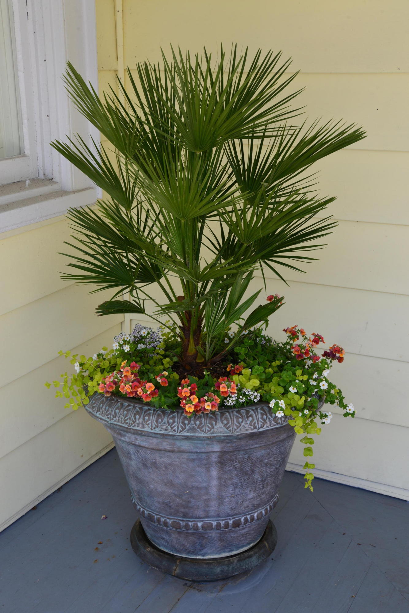 14 Colonial Street Charleston, SC 29401 - Photo 48 of 52 DSC_5957