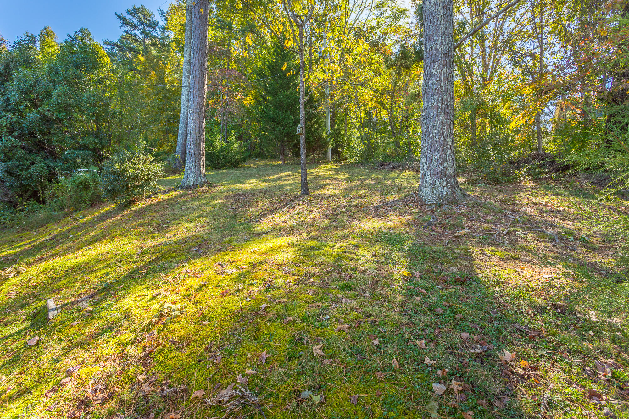 1708 Spring View Lane Chattanooga, TN 37421 - Photo 30 of 34 1708 Spring View Ln. HD-61