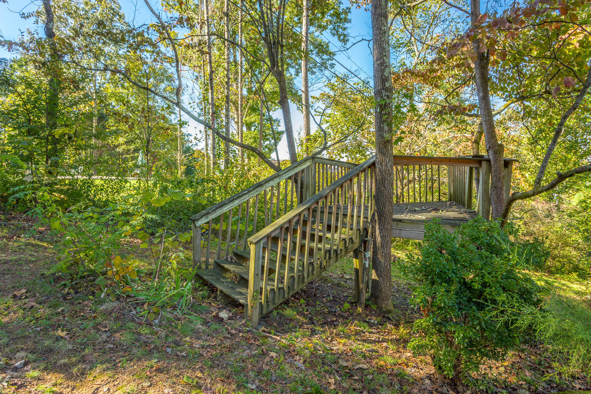 1708 Spring View Lane Chattanooga, TN 37421 - Photo 31 of 34 1708 Spring View Ln. HD-62