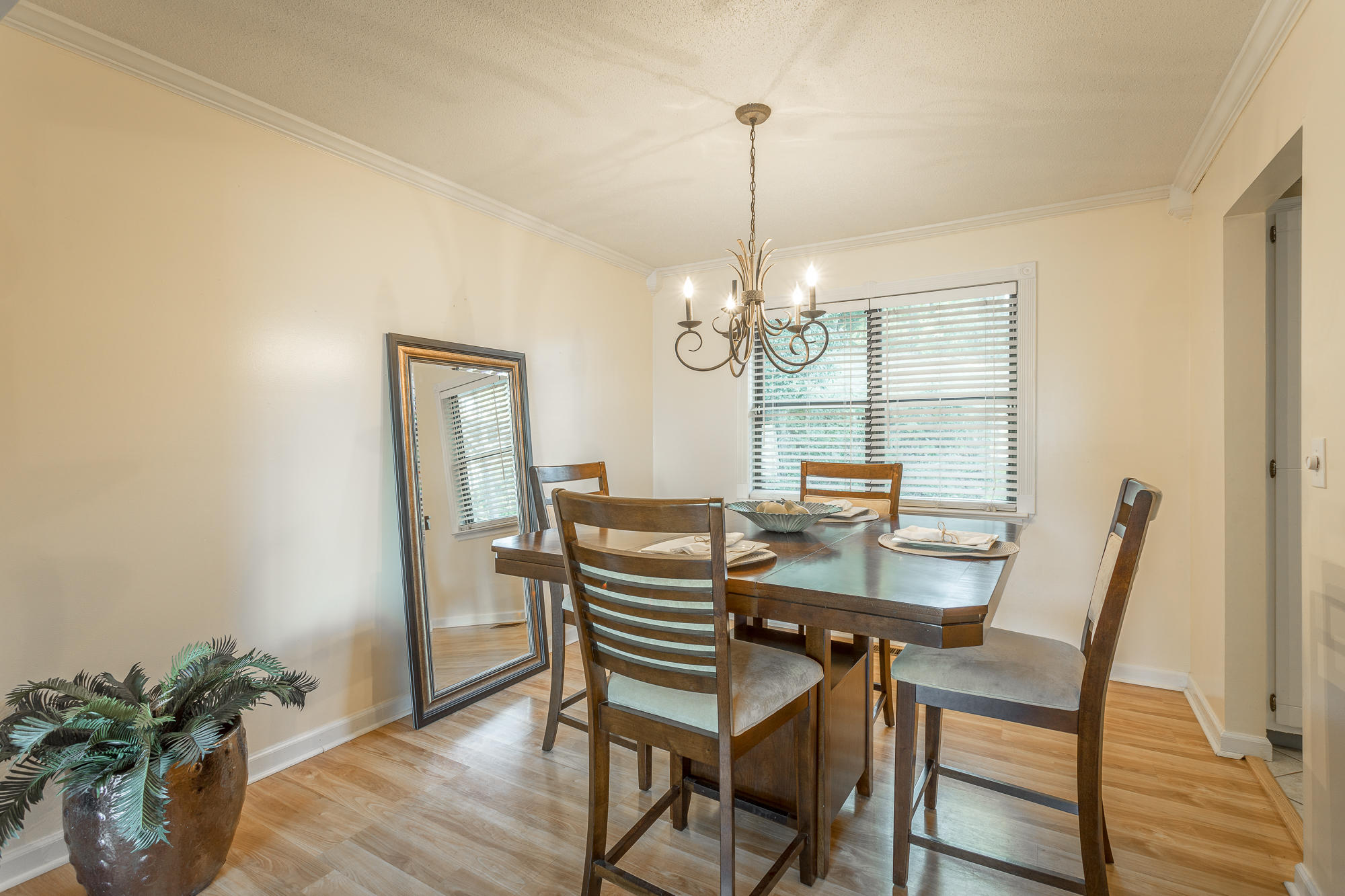 1708 Spring View Lane Chattanooga, TN 37421 - Photo 5 of 34 1708 Spring View Ln. HD-12
