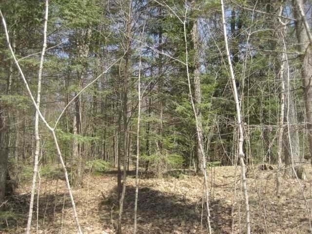 Lot 2 Timberline Road Mercer, WI 54547 - Photo 15 of 20 Gallery Image 15