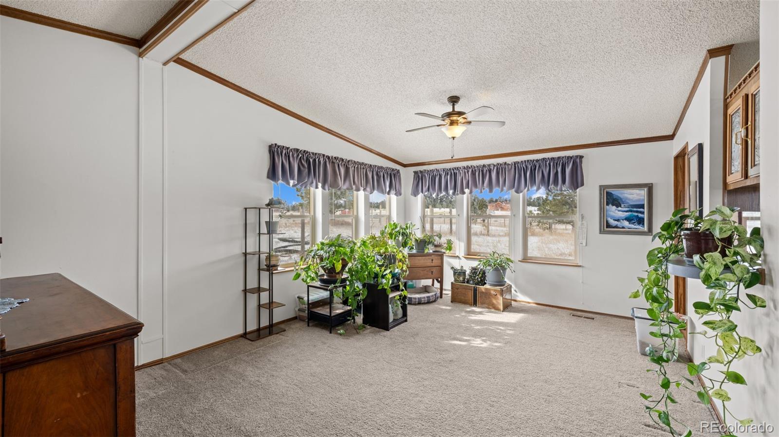 17660 Cleese Court Peyton, CO 80831 - Photo 16 of 43