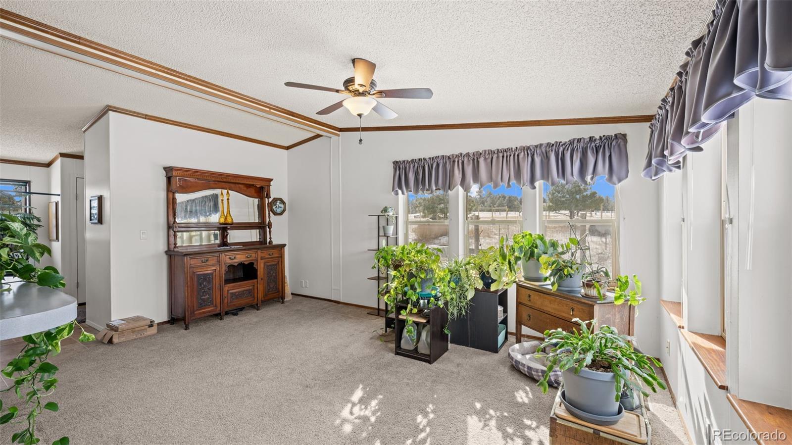 17660 Cleese Court Peyton, CO 80831 - Photo 17 of 43