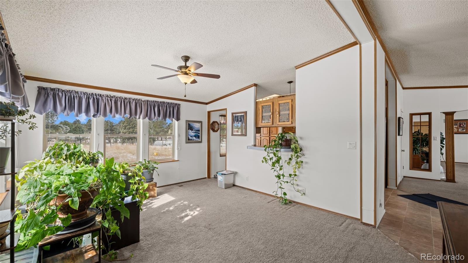 17660 Cleese Court Peyton, CO 80831 - Photo 18 of 43