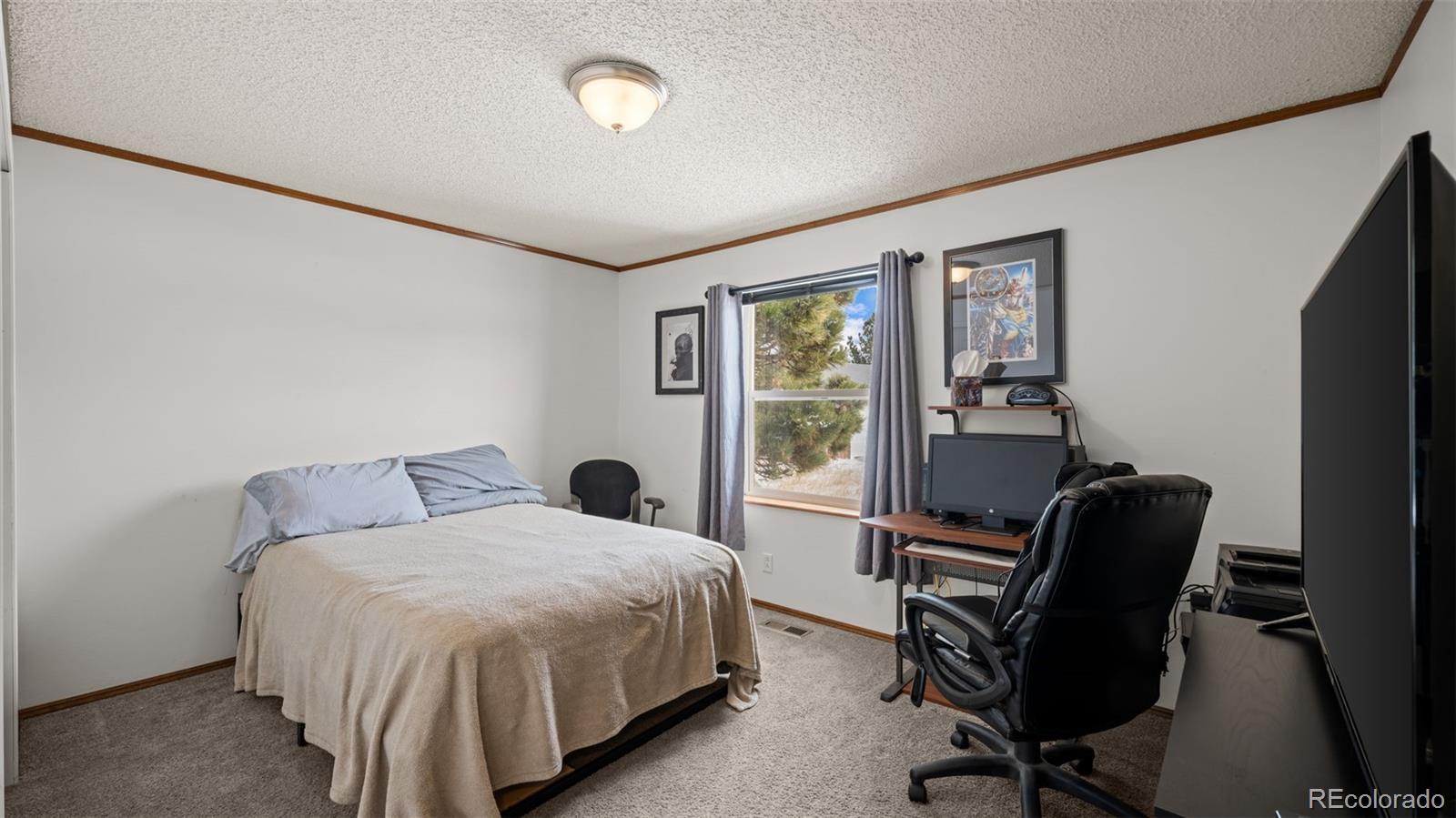 17660 Cleese Court Peyton, CO 80831 - Photo 29 of 43