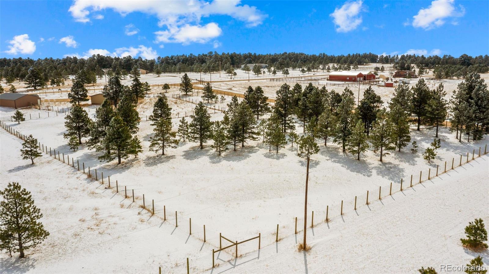17660 Cleese Court Peyton, CO 80831 - Photo 33 of 43