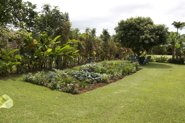 4195 Omao Road, Unit 2 Koloa, HI 96756 - Photo 8 of 20 Gallery Image 8