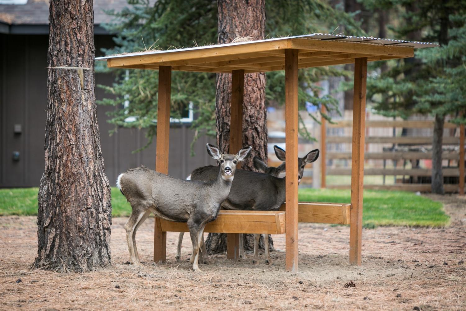 60191 Cinder Butte Road Bend, OR 97702 - Photo 19 of 21 Additional Photo