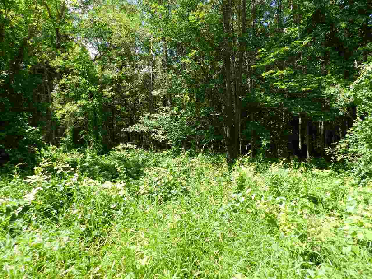 7529 Blue Road Southwest Fife Lake, MI 49633 - Photo 18 of 62 1865960-17.JPG