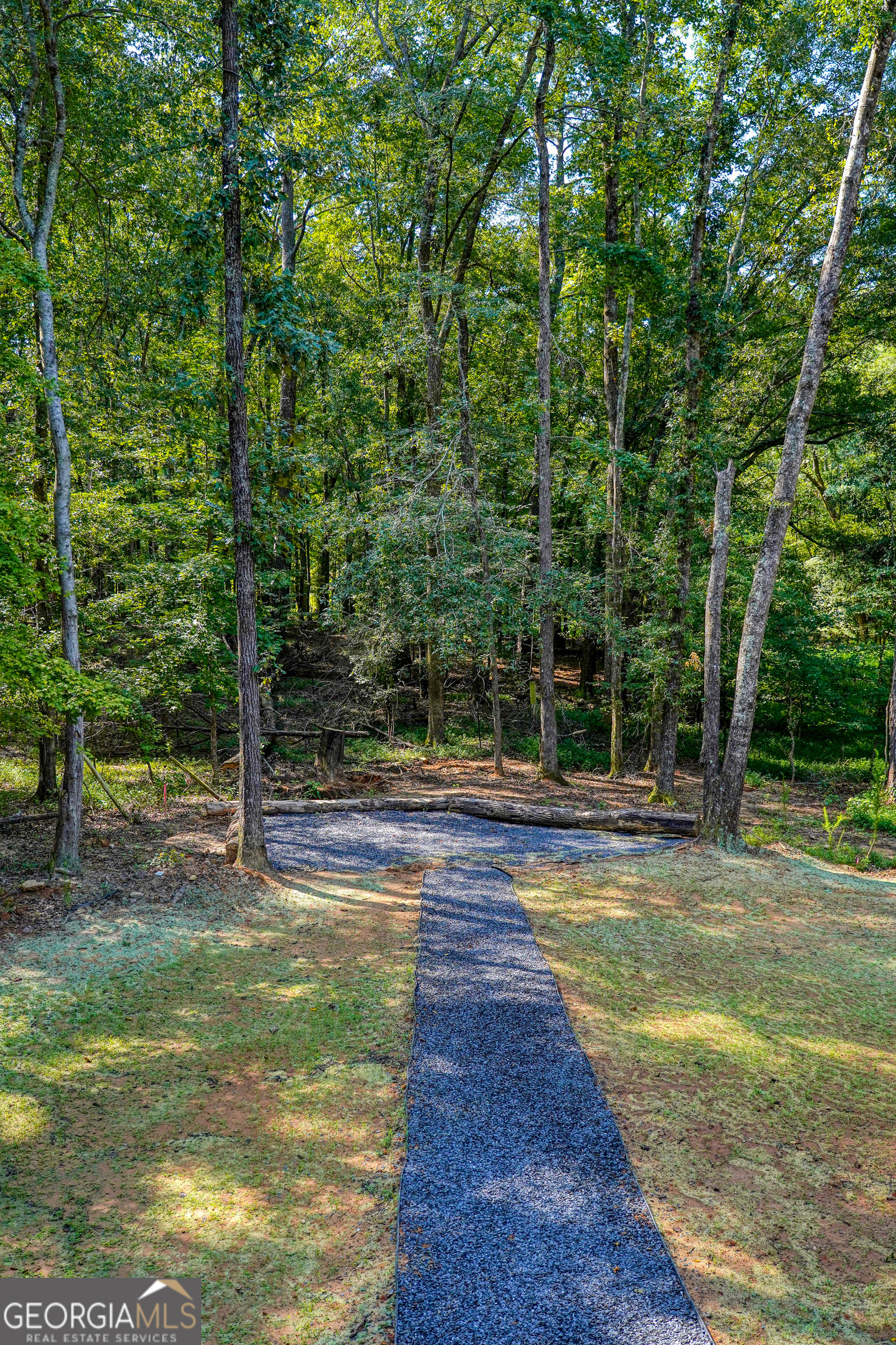 440 Palmetto Road Tyrone, GA 30290 - Photo 30 of 32 a view of a swimming pool with a large trees