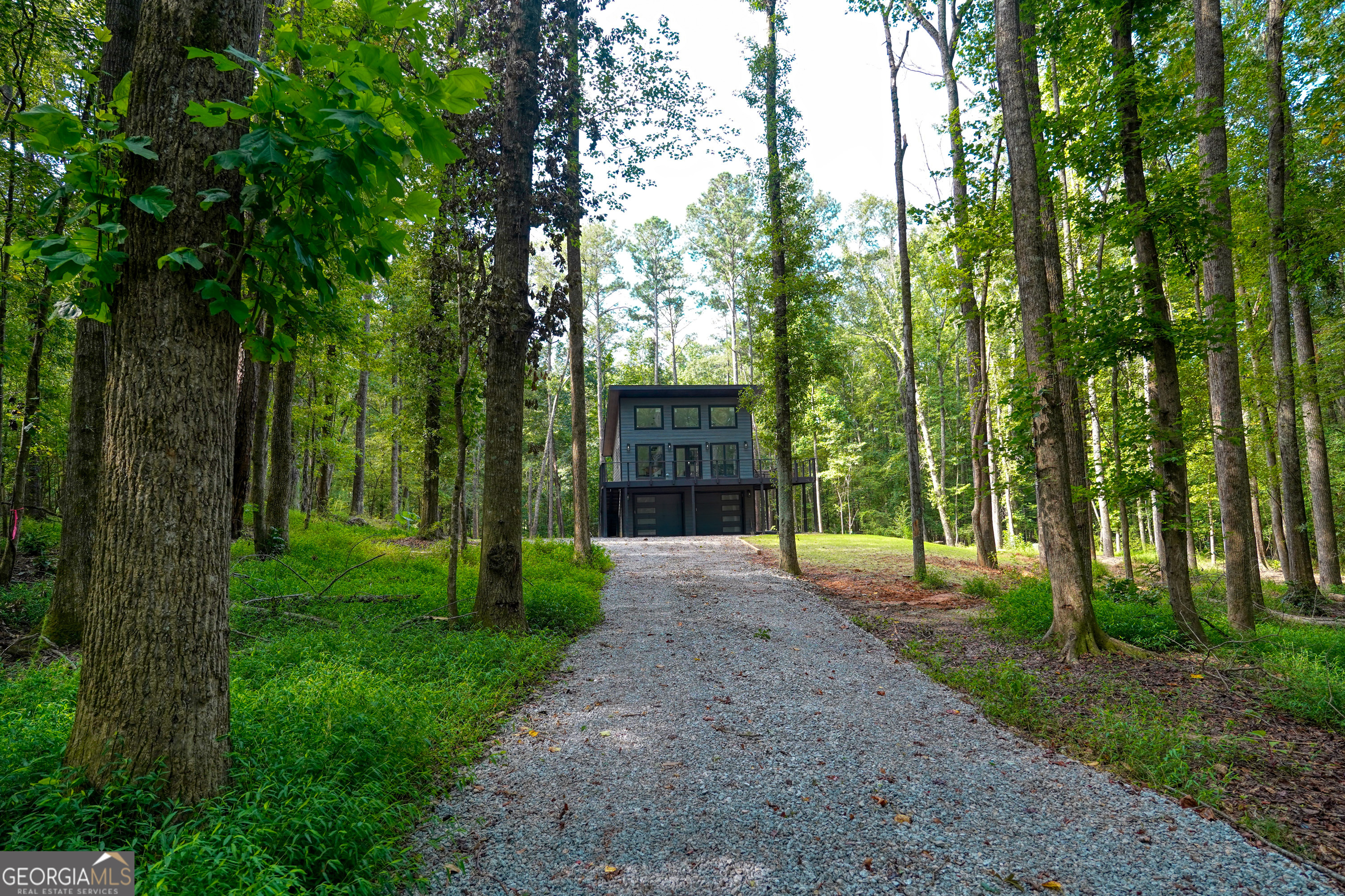 440 Palmetto Road Tyrone, GA 30290 - Photo 32 of 32 a view of a big yard with plants and large trees