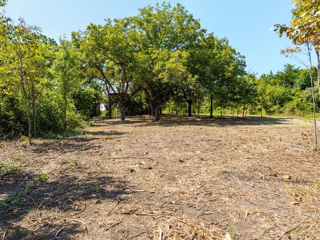 3108 Troy Road Wylie, TX 75098 - Photo 12 of 29 a view of a yard with a tree