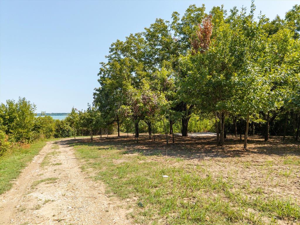 3108 Troy Road Wylie, TX 75098 - Photo 14 of 29 a view of a yard with a tree