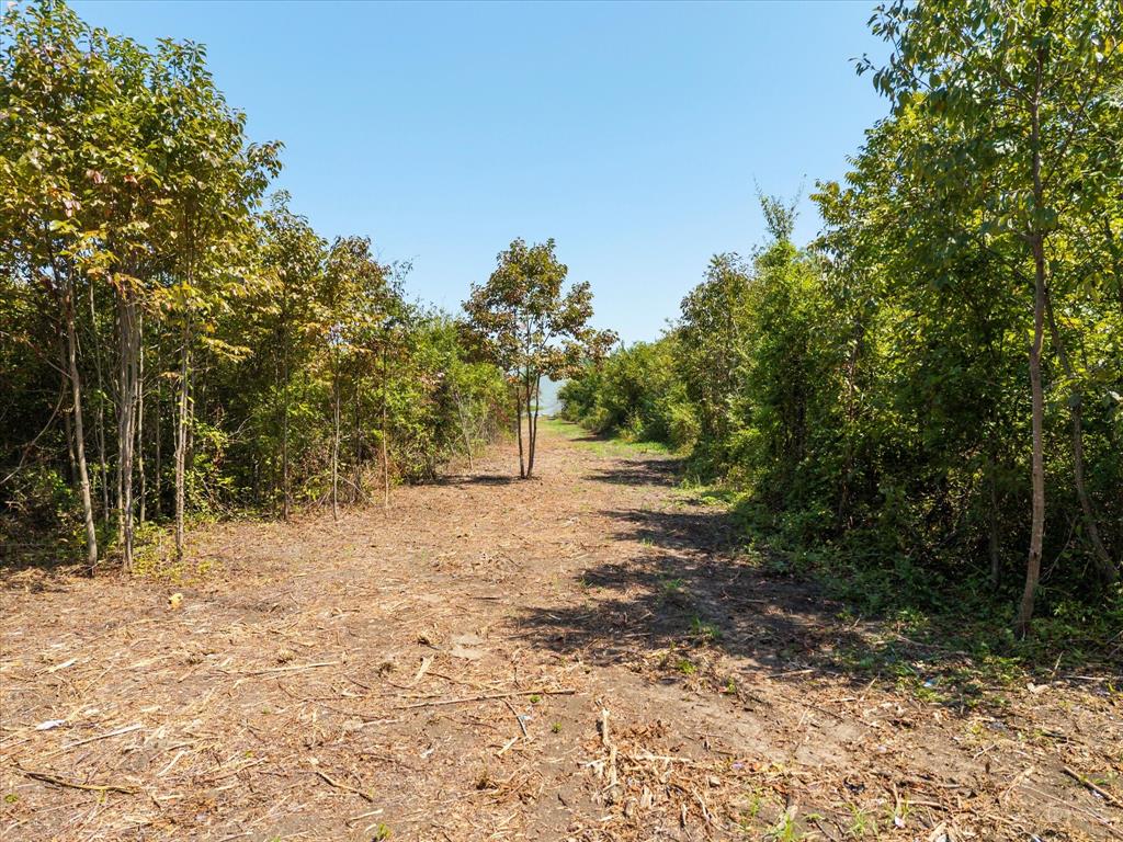 3108 Troy Road Wylie, TX 75098 - Photo 9 of 29 a view of outdoor space and yard