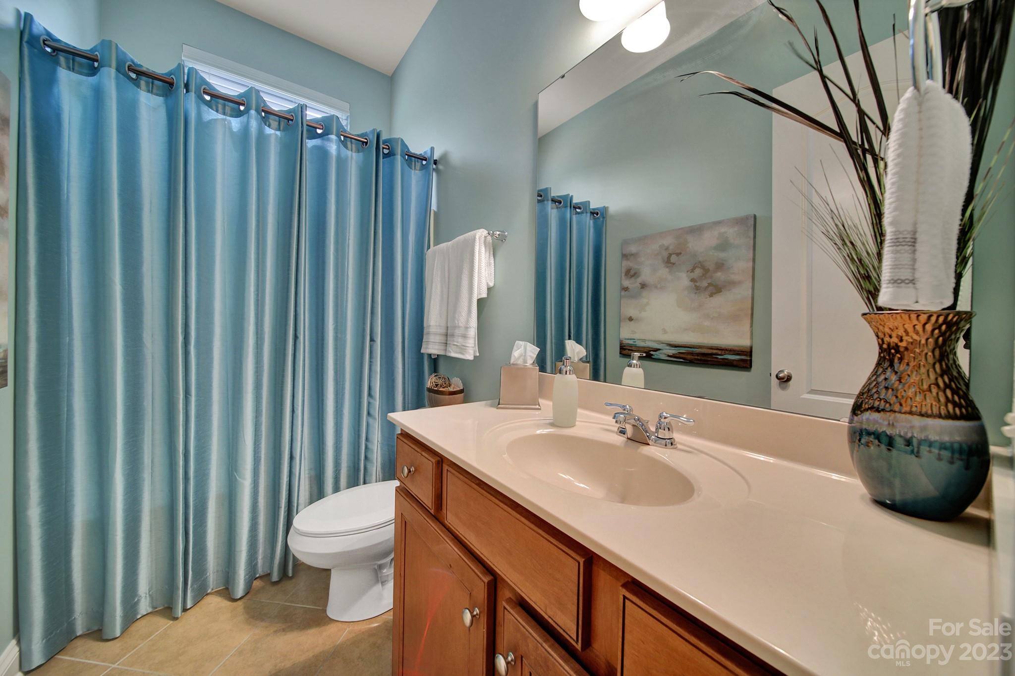818 Treasure Court Fort Mill, SC 29708 - Photo 35 of 47 a bathroom with a sink a toilet and shower