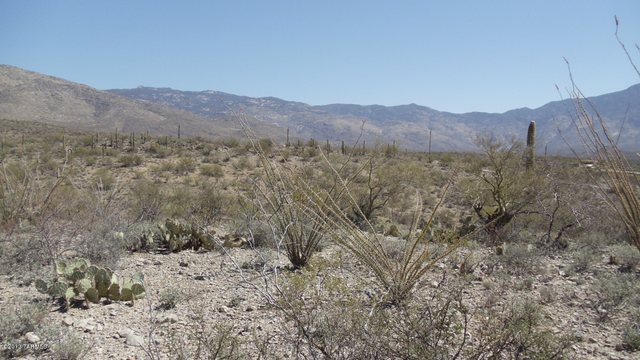15115 East Rincon Creek Ranch Tucson, AZ 85747 - Photo 8 of 23 Gallery Image 8