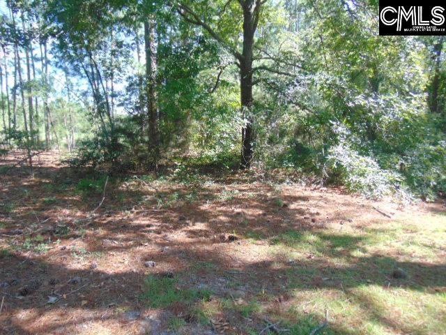 219 Walter Taylor Road Gilbert, SC 29054 - Photo 22 of 27 Gallery Image 22