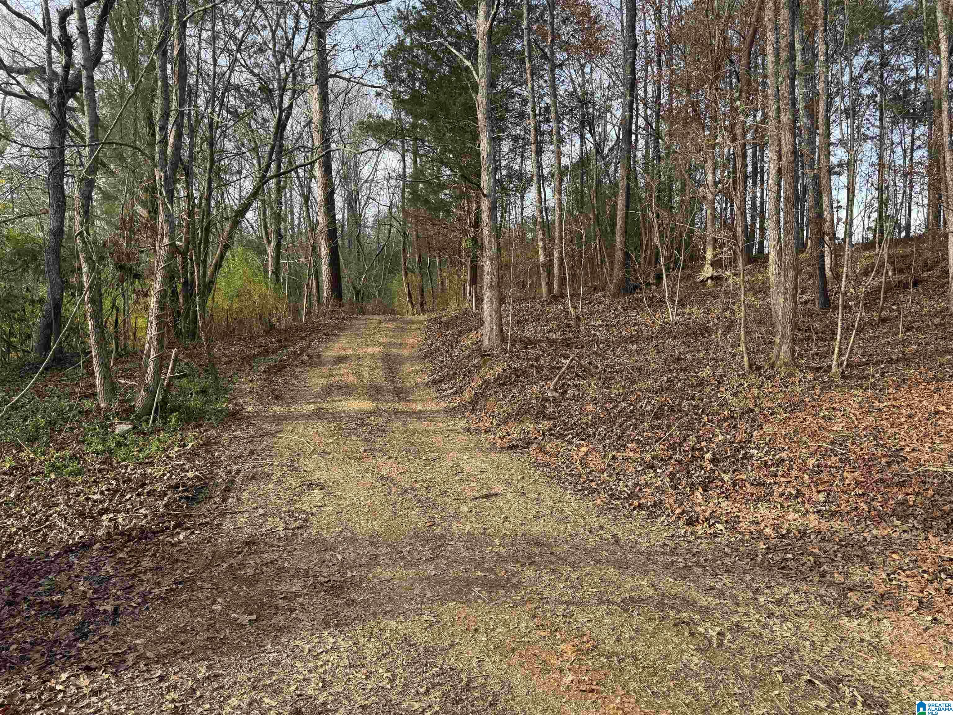 33412 Highway 79 Cleveland, AL 35049 - Photo 39 of 39