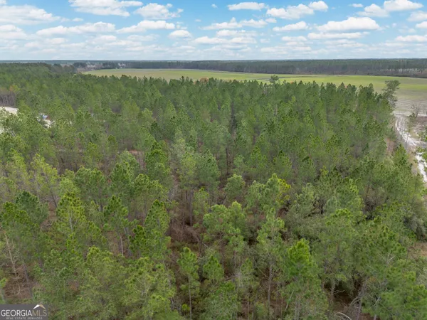 $995,000 | 2110 Post Road, Alma, GA 31510