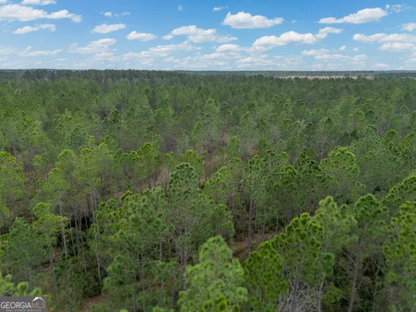 $995,000 | 2110 Post Road, Alma, GA 31510