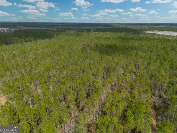 $995,000 | 2110 Post Road, Alma, GA 31510