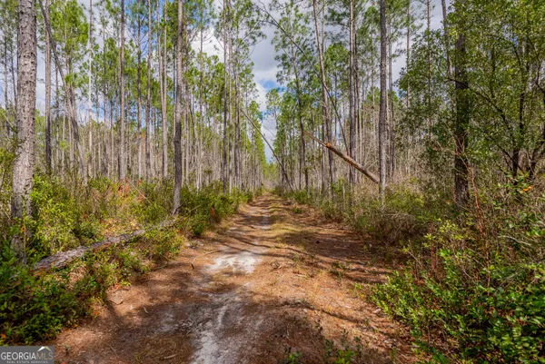 $995,000 | 2110 Post Road, Alma, GA 31510