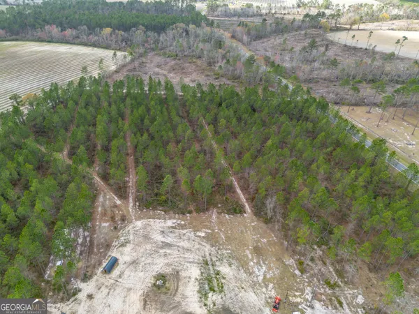 a view of a lush green forest with lots of trees