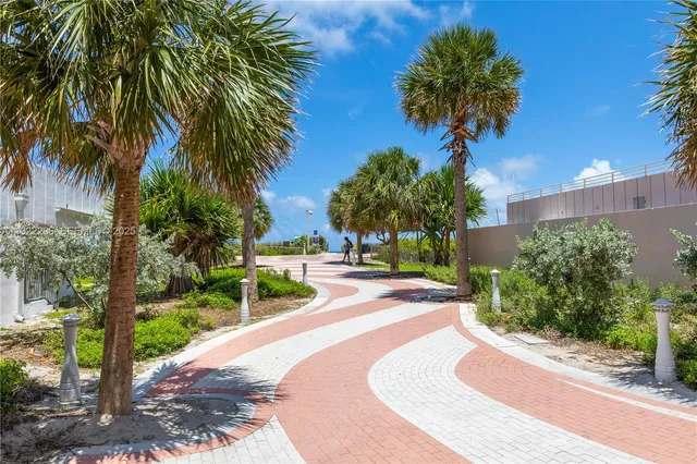 a view of a garden with palm trees