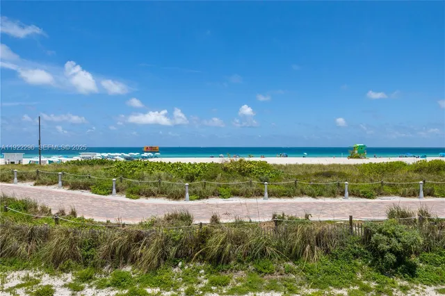 a view of a back yard