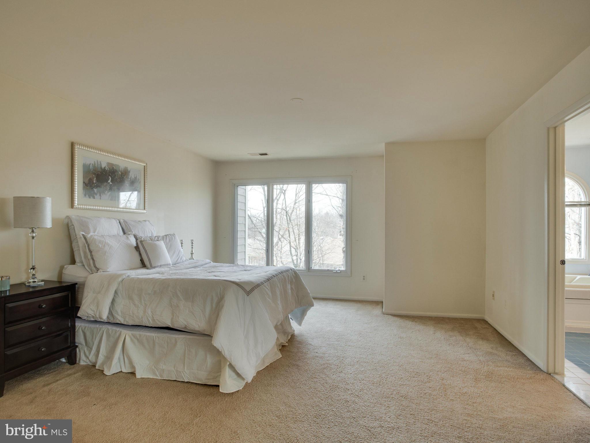 11102 Lakespray Way Reston, VA 20191 - Photo 19 of 28 Bedroom (Master)