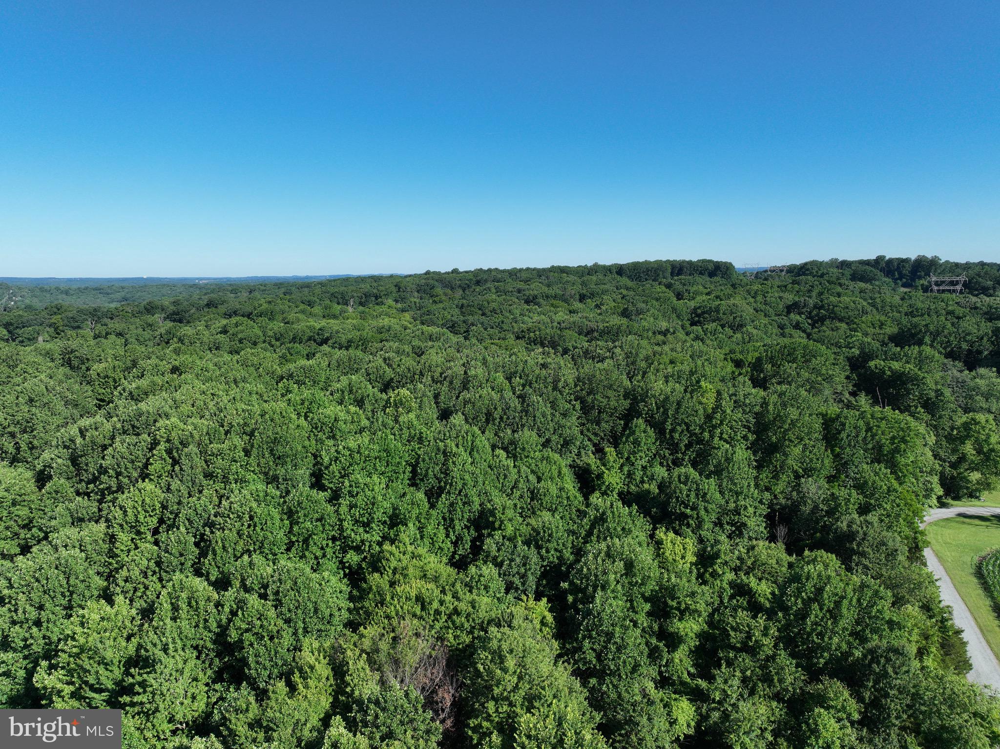 0 Rock Springs Road Conowingo, MD 21918 - Photo 41 of 79