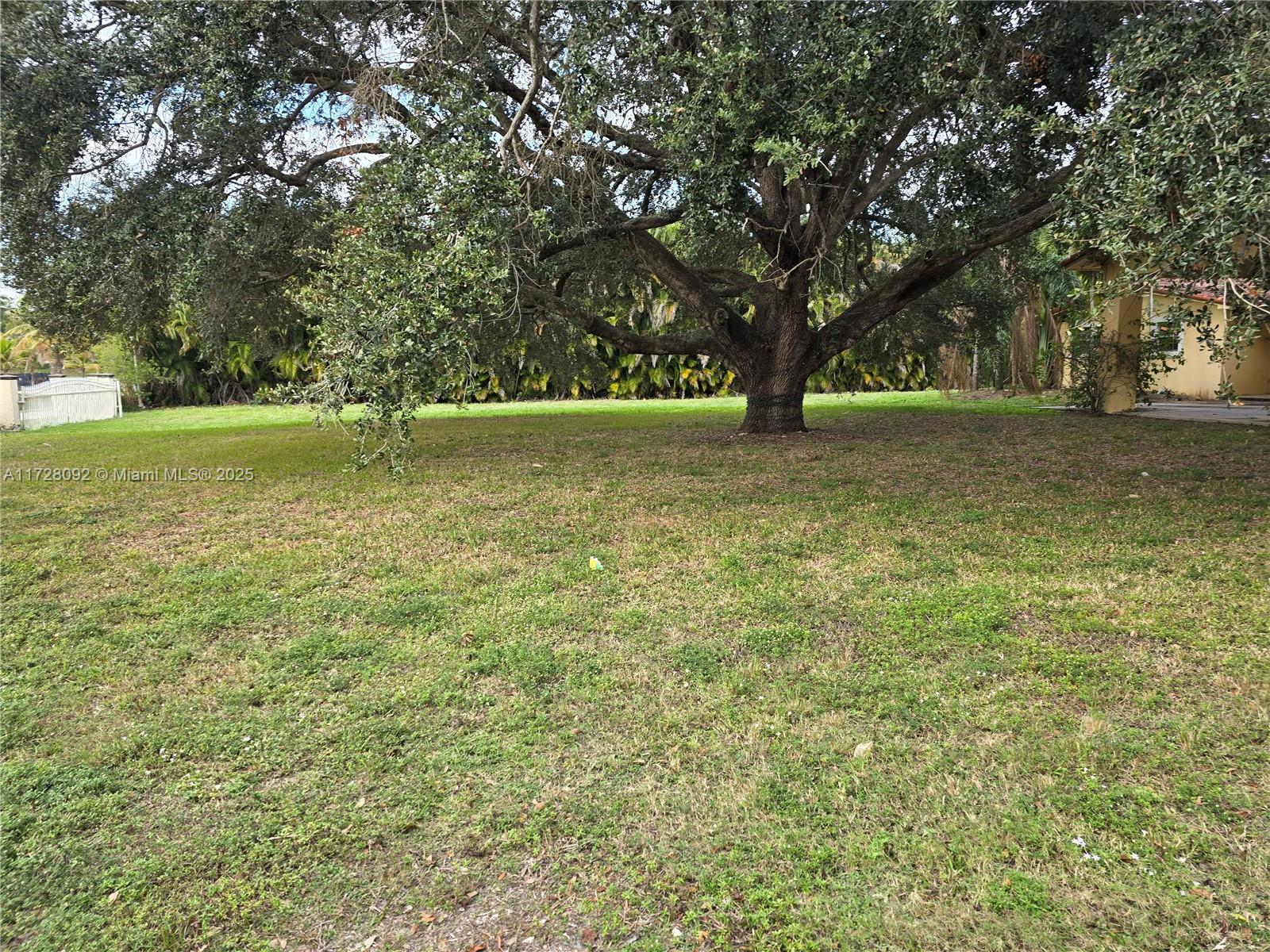 Country Club Ranches Miramar, FL 33027 - Photo 5 of 29 a view of outdoor space with lots of trees